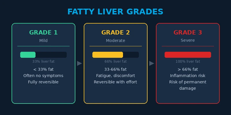 Fatty liver grades: Grade 1 (mild, reversible) to Grade 3 (severe, risk of permanent damage)